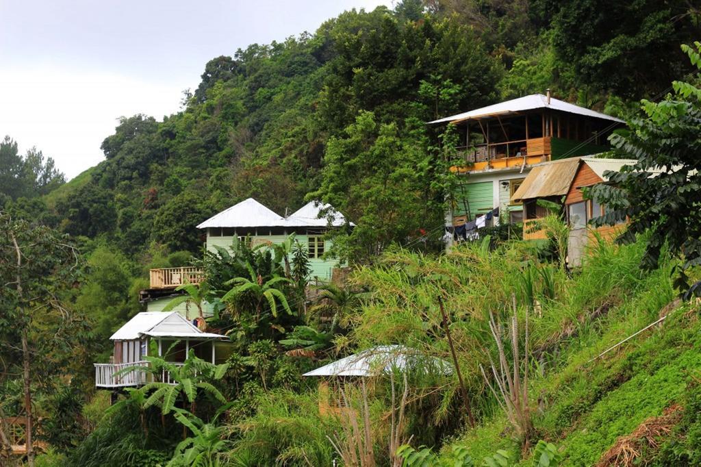 Mount Edge Guest House Πορτ Αντόνιο Εξωτερικό φωτογραφία